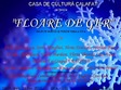 festivalul de folk si poezie floare de ger la calafat