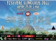 festivalul de la suncuius 2011