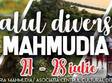 festivalul diversitatii