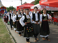 festivalul etniilor 2014 la timisoara