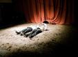  festivalul euroregional de teatru timisoara teszt rosencrantz si guildenstern sunt morti 