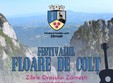 festivalul floare de colt zilele orasului zarnesti