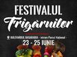 festivalul frigaruilor