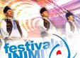 festivalul inimilor 2014 la timisoara