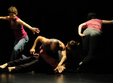 festivalul international de contact improvisation trans contact editia a vi a