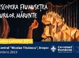 festivalul luminii brasov 2019