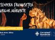 festivalul luminii sibiu