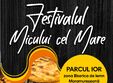 festivalul micului cel mare bucuresti