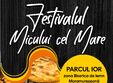 festivalul micului cel mare bucuresti