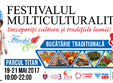 poze festivalul multiculturalitatii