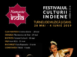 festivalul namaste india la cluj napoca