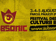 festivalul subsonic 2012