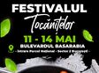 festivalul tocani elor