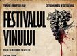 festivalul vinului arad 2014