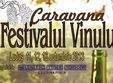 festivalul vinului ludus 2013