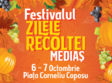 festivalul zilele recoltei medias 