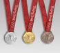 festivitate a premierii celor mai buni sportivi satmareni ai anului 2010