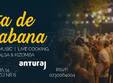 fiesta de habana