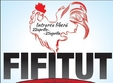 fifitut 2013 ed a vi a