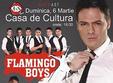 flamingo boys la constanta