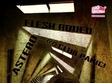 flesh rodeo si astero in panic club