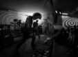 fluturi pe asfalt i pinholes the shelter cluj napoca
