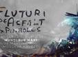 fluturi pe asfalt pinholes live in moszkva kavezo