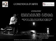 folklortronik concert de nai si instrumente electronice