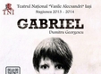 gabriel sala uzina cu teatru tni