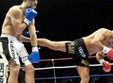 gala de k1 si thai box