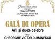 gala de opera la arad
