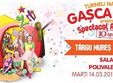 gasca zurli turneu national 10 zurli la tg mures