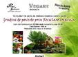 gradini de poveste prin reciclare creativa 