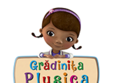 gradinita plusica lansarea oficiala