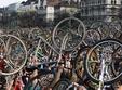 green cycle critical mass