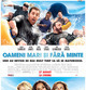 grown ups 2010