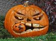 halloween party in student s place