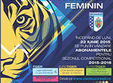handbal feminin sezon competional 2015 2016 eurotiger