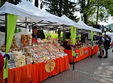 poze happy market sinaia mini festival de shopping i divertisment