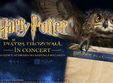 harry potter i piatra filozofala in concert