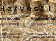 harvest 1 sarbatoarea recoltei