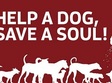 help a dog save a soul 