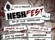 hesh fest 2014 la baia mare