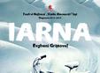 iarna sala uzina cu teatru tni