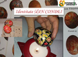  identitate d in condei ateliere de incondeiat ouale