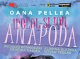 idolul i ion anapoda