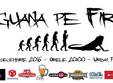 iguana pe fir urban place oradea