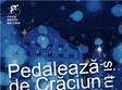 iluminarea bradului de craciun verde pentru biciclete