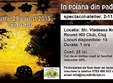 in poiana din padure