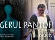 ingerul pantofilor